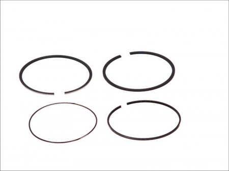 Piston - Segment piston (set) (95,8mm (STD) 2,5-2-2,5) potrivit FIAT; IVECO potrivit MITSUBISHI CANTER (FB7, FB8, FE7, FE8) VII, CANTER (FE5, FE6) VI; MULTICAR FUMO 4P10-0AT3-F1CGL411A 07.99-