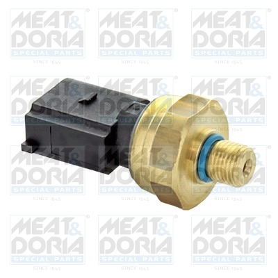 Electrica - Senzor presiune combustibil potrivit AUDI A3, A4 B7, A6 ALLROAD C6, A6 C6, TT; SEAT ALTEA, ALTEA XL, LEON, TOLEDO III; SKODA OCTAVIA II; VW EOS, GOLF PLUS V, GOLF V 2.0/3.2 05.03-08.15