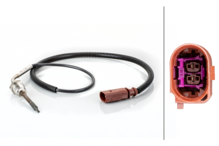 Electrica - Senzor temperatura evacuare (inainte de DPF) potrivit AUDI A4 B7; BMW X5 (E70) 2.7D/3.0D 11.04-03.10