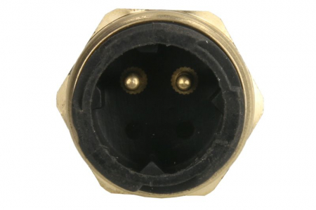 Senzor temperatura lichid racire (numar pini: 2, wrench size: 27mm) potrivit MAN E2000, EL, EM, F2000, F90, FOC, HOCL, L2000, LION´S CITY, LION´S COACH, LION´S REGIO D0824FL01-E2876LUH02 04.81- [1]