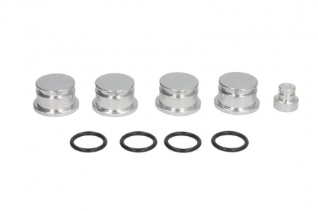 Elemente admisie aer - Set clapete turbionare galerie admisie potrivit ALFA ROMEO 147, 156, 159, GT; FIAT CROMA, STILO; OPEL ASTRA H, ASTRA H GTC, SIGNUM, VECTRA C, VECTRA C GTS, ZAFIRA B; SAAB 9-3, 9-5 1.9D 11.02-04.15