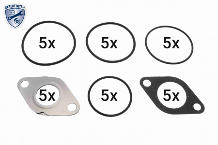 Set de garnituri de supapa EGR potrivit AUDI A3, Q7; SEAT ALTEA, ALTEA XL, CORDOBA, IBIZA III, IBIZA IV, IBIZA IV SC, LEON, TOLEDO III; SKODA FABIA II, OCTAVIA II, ROOMSTER 1.4D-4.0D 10.01- [1]
