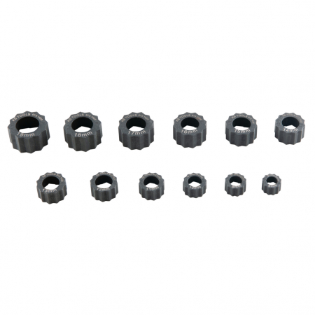 Scule service - Set extractor piulite speciale - 12 piese