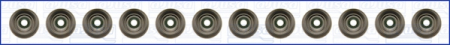 Garnituri motor - Set garnituri ax potrivit ALFA ROMEO 159, BRERA, SPIDER; BUICK ENCLAVE, LAE; CADILLAC ATS, BLS, CTS, CTS SPORT, SRX, STS, XTS; CHEVROLET CAPTIVA; GMC TERRAIN 2.8-3.6ALK 03.05-