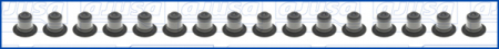 Garnituri motor - Set garnituri ax potrivit CHRYSLER 200, SEBRING; DODGE AVENGER, CALIBER, JOURNEY; FIAT FREEMONT; HYUNDAI CRETA, ELANTRA V, ELANTRA VI, GENESIS, GRANDEUR, H-1 TRAVEL 1.2-2.4LPG 01.05-
