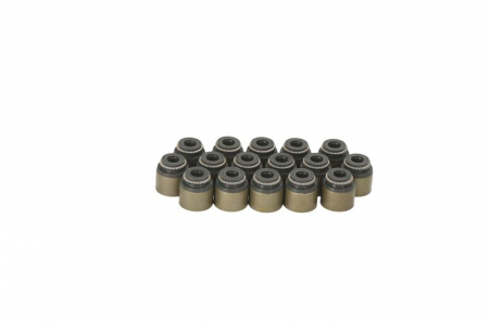 Garnituri motor - Set garnituri ax potrivit DACIA DOKKER, DOKKER EXPRESS/MINIVAN, DUSTER, DUSTER/SUV, LODGY; LADA XRAY; NISSAN CUBE, JUKE, MICRA C+C III, MICRA III, NOTE, NV200 1.4-1.6LPG 01.03-