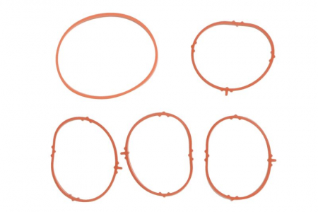 Piese Auto - Set garnituri, galerie admisie potrivit ABARTH 500 / 595 / 695, 500C / 595C / 695C, GRANDE PUNTO, PUNTO, PUNTO EVO; ALFA ROMEO GIULIETTA, GIULIETTA/HATCHBACK, MITO; DODGE DART 1.4/1.4CNG/1.4LPG 05.07-