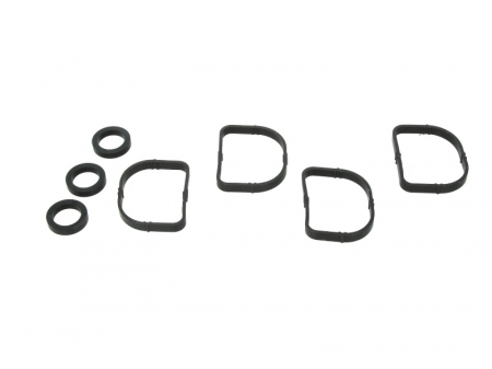 Elemente admisie aer - Set garnituri, galerie admisie potrivit BMW 1 (E81), 1 (E82), 1 (E87), 1 (E88), 3 (E46), 3 (E90), 3 (E91), 3 (E92), 3 (E93), 5 (E60), X1 (E84), X3 (E83), Z4 (E85) 1.6/1.8/2.0 12.00-06.15