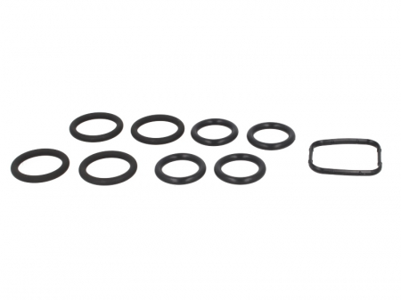 Elemente admisie aer - Set garnituri, galerie admisie potrivit FIAT SCUDO 1.6D 01.07-03.16