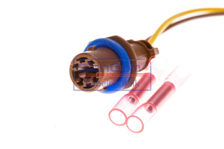 Set reparat cabluri, bec inmatriculare (250mm) potrivit ALFA ROMEO MITO potrivit ALFA ROMEO MITO; FIAT GRANDE PUNTO 0.9-1.9D 06.05- [1]