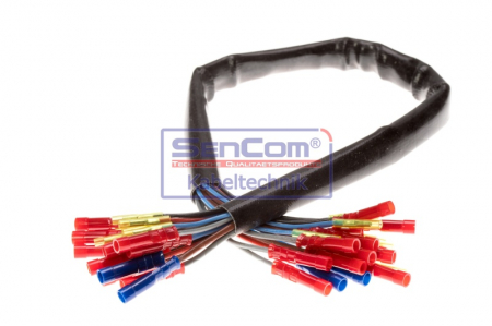 Set reparatie cabluri pentru usa din fata (500mm, numar pini: 21, fara acoperire, Stanga) potrivit VW TRANSPORTER T4 1.8-2.8 07.90-06.03 [2]