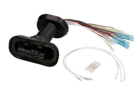 Piese Auto - Set reparatie cabluri usa (250mm, numar pini: 11, cu capac, Dreapta/Stanga) potrivit AUDI A4 B6 1.6-4.2 11.00-12.04