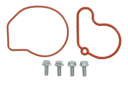 Franare - Set reparatie pompa vacuum potrivit AUDI A3; SEAT CORDOBA, CORDOBA VARIO, IBIZA II, IBIZA III, INCA, LEON, TOLEDO II; SKODA FABIA I, FABIA I PRAKTIK, OCTAVIA I; VW BORA 1.9D 11.95-04.12