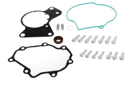 Piese Auto - Set reparatie pompa vacuum VW MULTIVAN V, TOUAREG, TRANSPORTER V 2.5D intre 2003-2010