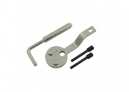 Scule service - Set scule întreținerea arbore cu came potrivit FORD, 2.2TDCi, timing chain,, OE: 303-698; 303-732
