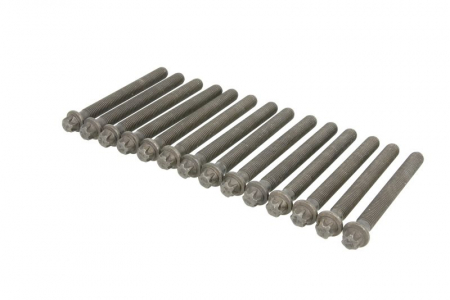 Motor - Set suruburi chiulasa potrivit BMW 3 (E36), Z3 (E36) 3.0/3.2 11.92-06.01