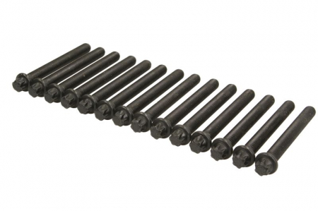 Motor - Set suruburi chiulasa potrivit BMW 3 (E46), Z3 (E36), Z4 (E85), Z4 (E86) 3.2 07.00-08.08