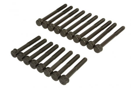 Piese Auto - Set suruburi chiulasa potrivit HYUNDAI TERRACAN; KIA CARNIVAL I, CARNIVAL II 2.9D 08.99-12.06