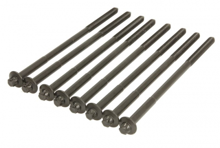 Piese Auto - Set suruburi chiulasa potrivit KIA CARNIVAL I, CARNIVAL II; LAND ROVER FREELANDER I; MG MG ZS, MG ZT, MG ZT- T; ROVER 45 I, 75, 75 I, 800 2.0/2.5 04.96-10.06