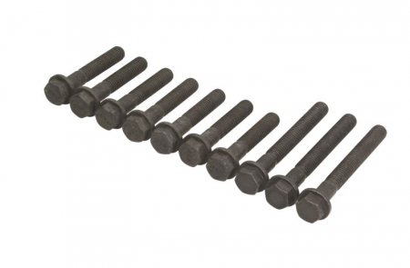Piese Auto - Set suruburi chiulasa potrivit LAND ROVER DEFENDER, DISCOVERY I, DISCOVERY II, RANGE ROVER I, RANGE ROVER II; MG MGR V8 3.9/4.0/4.6 11.88-02.16