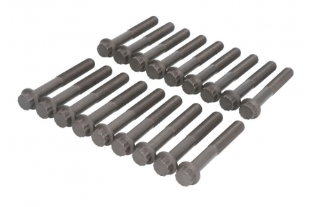 Piese Auto - Set suruburi chiulasa potrivit MITSUBISHI L200, L200 / TRITON, PAJERO SPORT II 2.5D 01.04-