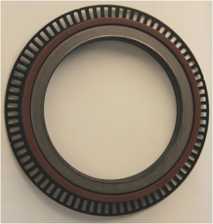Simering butuc roata (135x175/205x18) potrivit MAN EM, HOCL, L2000, M 2000 L, M 2000 M, M90, NM, SM [2]