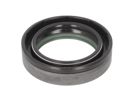 Simering diferential (46x65x15,7mm) potrivit CASE IH 248, 258, 268, 288, 385, 485 XL, 585, 685, 695, 695 XL, 743, 743 XL, 745, 745 S, 785, 795, 795 XL, 844 XL, 845 XL, 856 XL, 885, 885 XL, 895, 895 XL [1]