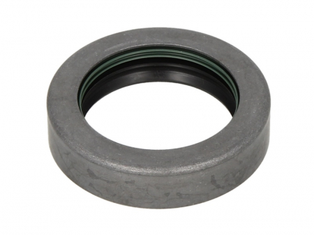 Piese Auto - Simering diferential (46x65x16,1mm) potrivit CASE IH 248, 258, 268, 288, 385, 485 XL, 585, 685, 695, 695 XL, 743, 743 XL, 745, 745 S, 785, 795, 795 XL, 844 XL, 845 XL, 856 XL, 885, 885 XL, 895, 895 XL