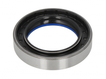 Simering diferential (55x82x16,5mm) potrivit LANDINI 5860, 6060, 6880, 6880 VM, 7860, 7860 HC, 7880, 7880 VM, 8860 HC, 8880, 8880 HC, 9060, 9080, 9080 HC, 55 F, 60 F, 75 F, 85 F, 65, 75, 50, 60, 85 [1]