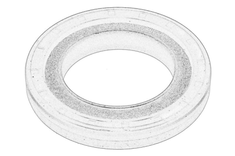 Garnituri - Simering diferential (55x90x12/13,5) potrivit IVECO DAILY