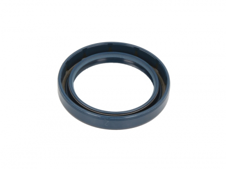 Simering ulei arbore cotit Spate (48x65/65x10) potrivit MERCEDES LK/LN2, MK, NG; CITROEN 2 CV A79/1(AYA2)-OM904.907 01.70-12.98 [1]