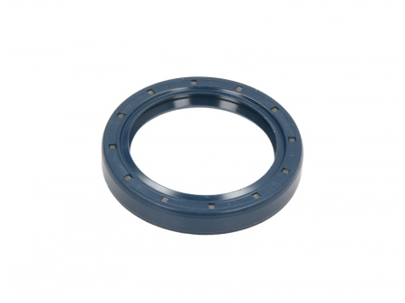 Piese Auto - Simering ulei arbore cotit Spate (48x65/65x10) potrivit MERCEDES LK/LN2, MK, NG; CITROEN 2 CV A79/1(AYA2)-OM904.907 01.70-12.98