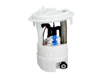 Piese Auto - Sistem pompa combustibil CITROEN C4, C4 I, C5, C5 I, C5 II; PEUGEOT 307 1.4-3.0 dupa 2000