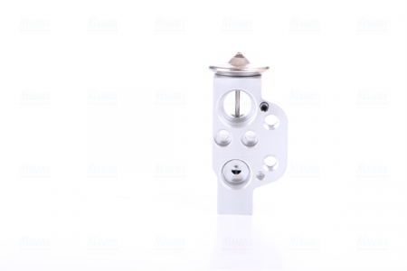 Supapa expansiune clima potrivit AUDI A3, TT; SEAT ALHAMBRA, ALTEA, ALTEA XL, LEON, TOLEDO III; SKODA OCTAVIA I, OCTAVIA II, SUPERB II, YETI; VW BEETLE, CADDY ALLTRACK 1.0-3.6 08.00- [1]