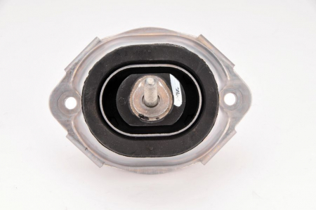 Suport motor fata BMW X5 (E53) 4.4/4.6/4.8 intre 2000-2006 [3]