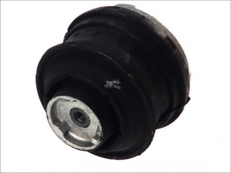 Suport motor - Suport motor fata dreapta (Hidraulic) MERCEDES C T-MODEL (S202), C (W202), CLK (A208), CLK (C208), E T-MODEL (S210), E (W210), SLK (R170) 2.0-5.4 intre 1993-2003