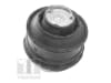 Suport motor fata dreapta hidraulic potrivit MERCEDES E T-MODEL (S211), E (W210), E (W211) 2.2D-5.5 07.99-07.09 [2]