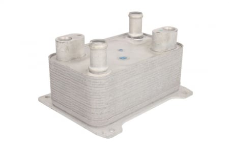Radiator ulei - Termoflot radiator ulei (109x73x183) AUDI A8; VW PASSAT, PHAETON 2.0-6.0 intre 2002-2016