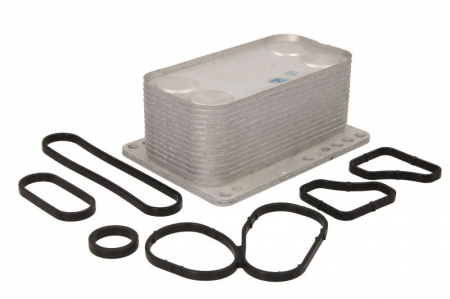 Radiator ulei - Termoflot radiator ulei (69x58x139, cu garnitura) NISSAN PRIMASTAR, QASHQAI I, X-TRAIL; OPEL VIVARO A; RENAULT ESPACE IV, GRAND SCENIC II, GRAND SCENIC III, KOLEOS I, LAGUNA, LAGUNA II, LAGUNA III 2.0