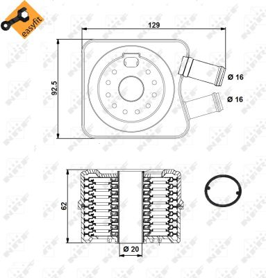 Radiator ulei - Termoflot radiator ulei (92x56x92, cu garnitura) AUDI A2, A3, A4, A6, TT; SEAT ALHAMBRA, ALTEA, ALTEA XL, CORDOBA, CORDOBA VARIO, EXEO, EXEO ST, IBIZA II, IBIZA III, IBIZA IV, LEON, TOLEDO II 1.4-2.5D