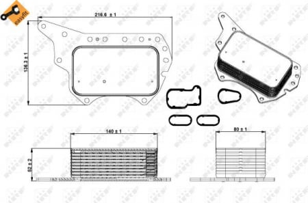 Radiator ulei - Termoflot radiator ulei (cu garnitura) MERCEDES VITO MIXTO (W447), VITO TOURER (W447), VITO (W447); NISSAN QASHQAI I, QASHQAI II, X-TRAIL; OPEL VIVARO B; RENAULT ESPACE V, FLUENCE, GRAND SCENIC III 1.