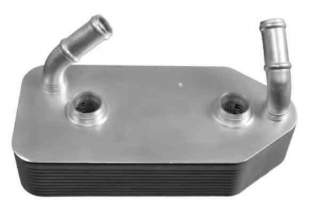 Radiator ulei - Termoflot radiator ulei SEAT TOLEDO III (5P2) NRF 31186