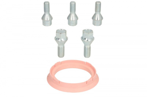 Trusa montaj janta aliaj (FZ20 74.1-60.1; B B13 60° con M14x1,5 L28; 1 kit / 1 roata - 5 orificii) [1]