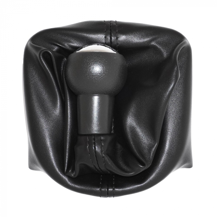 Nuca Schimbator Viteze Peugeot si Citroen [3]