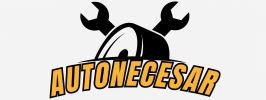 Autonecesar.ro