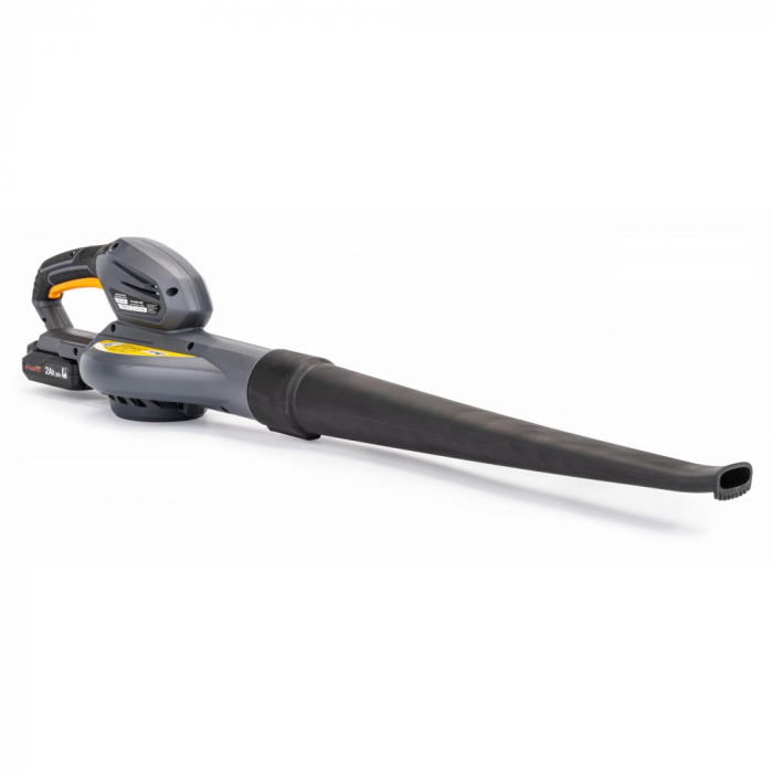 Suflantă cu baterie pentru frunze 20V 2Ah INTERpulse [7]