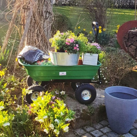 Carucior de gradina basculabil 300KG [5]