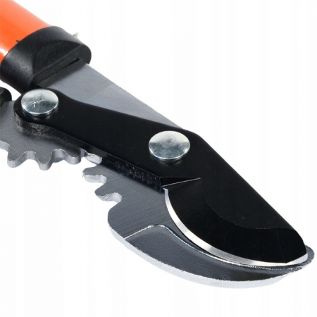 Foarfece pentru crengi cu angrenaj mecanic lungime de 770mm [6]