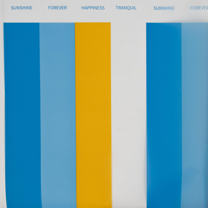 Ambalaj flori Stripes 58*58 cm [1]