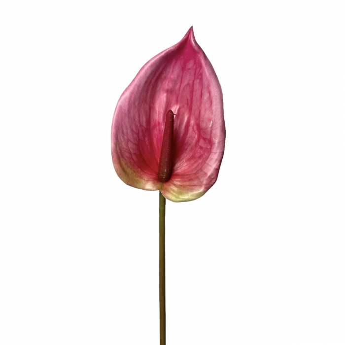 Anthurium artificial - 85 cm [2]